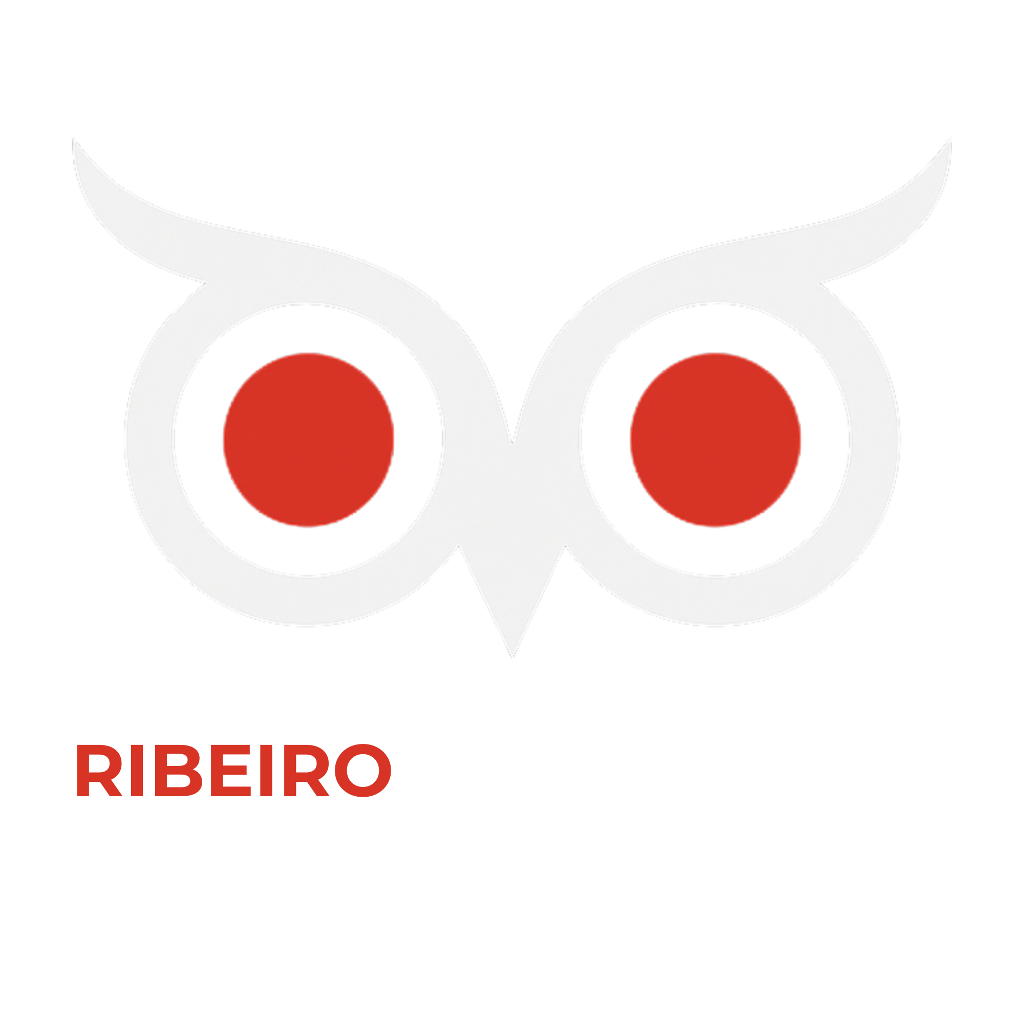 Ribeiro Data Studio